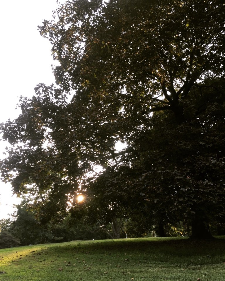 UNADJUSTEDNONRAW_thumb_ace8