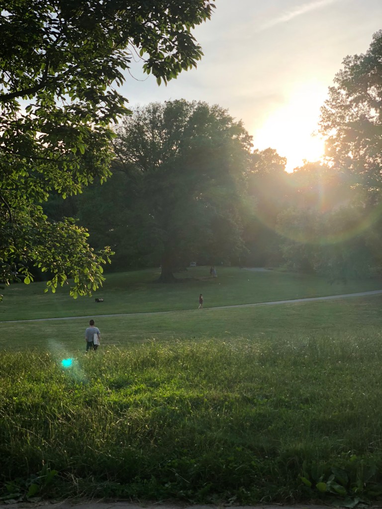 Apx9ZEnlRMSg%cxENqmRcQ